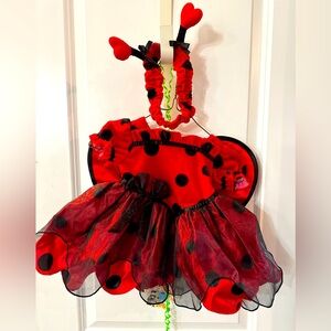 New with tags: baby ladybug Halloween costume; 3-6 months